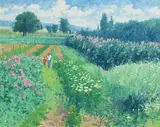 Brett McEntaggart, Jardin d'Ete, oil on board