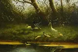 19th Century Continental School, Ducks by the Pond