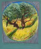 Brian Bourke Hrha Irish, Olive Trees, Andalucia