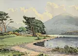 Seán O'Connor, 18th Green Killarney