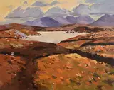 Fergal Flanagan, Winter Light, Roundstone Bog, Connemara