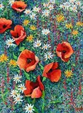 Kenneth Webb, Wild Flower Meadow, oil on canvas