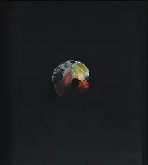 Louis le Brocquy, Apple (1968) (Opus 224), oil on canvas