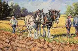 James S. Brohan, The Perfect Furrows
