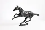 Siobhan Bulfin, Galloping