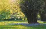 Gemma Guihan, Bluebells in Spring, 2008, oil on canvas