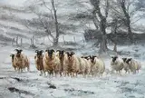 Mark O'Neill, Watching, Waiting, Hopeful, 2006, oil on board
