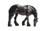 Siobhan Bulfin, Shire Horse