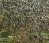 Nick Miller, Autumn Rain