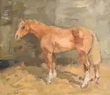 Basil Blackshaw, Horse, oil on board