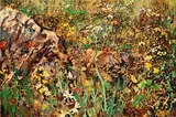 Kenneth Webb, Bog Cotton, Ballinaboy, oil on canvas