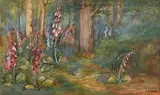 Elizabeth Corbet Yeats, Woodland Flora, watercolour