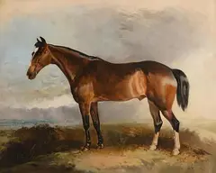 A Favourite Hunter by R. T. Bott, 1856, oil on canvas, sold Sep 2021