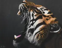 Darren Baker, Tiger, pastel