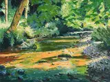 Fergal Flanagan, Shadows on the Dargle, Co. Wicklow