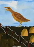 Patsy Dan Rodgers, The Tory Island Corncrake, 2016, oil on board