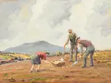 Charles McAuley, Potato Gathering