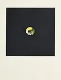 Louis le Brocquy, Lemon, 1974, limited edition aquatint - numbered 51 from an edition of 75