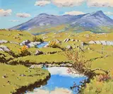 Fergal Flanagan, Ballinahinch, Connemara