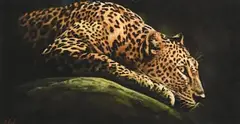 Darren Baker, Leopard, pastel