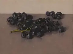 Black Grapes by Comhghall Casey, 2011, oil on linen, sold May 2021