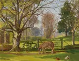 Geraldine M. O'Brien, The Paddock