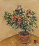 Stella Steyn, Still Life - The Rose Plant, oil on canvas