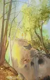 Clare Cryan, Woodland Walk, 2001, watercolour