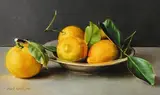 Mark O'Neill, Five Lemons, 2008, oil on board