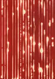 Mark Francis, Untitled 4