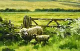 Mark O'Neill, Summer Paddock