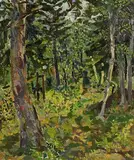 Colin Middleton, Woodland, Cavehill, oil on canvas laid on board