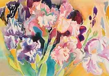 Fr. Jack P. Hanlon, Summer Flowers