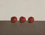 Comhghall Casey, Three Tomatoes, 2006, oil on canvas