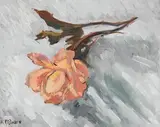 Kitty Wilmer O'Brien, The Rose Called Arkle