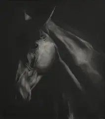 Paddy Lennon, Horse Study, 2002, charcoal