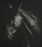 Paddy Lennon, Horse Study