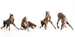 Colm J. Brennan, Frolicking Foals, set of 4 bronzes