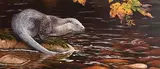 John Robert Moore, River Otter, oil on canvas