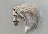 Alan M. Hunt, The Grey
