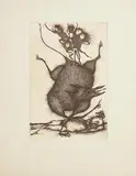 Gertrude Degenhardt German, Untitled, 1980 - 1989, etching - printer's proof (pp)