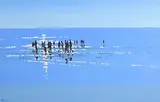 John Morris, Brittas Bay Beach