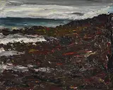 Peter Collis, Wicklow Coast