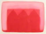 Neil Shawcross, American Pink Barns