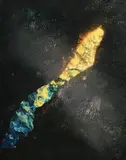 Tim Goulding, Copper Face, 1994, oil on canvas