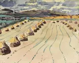 Nano Reid, Clogherhead, Drogheda