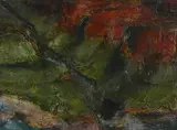 Gwen O'Dowd, Grand Canyon Series (1994-5)