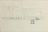 Colin Harrison, Dogs in a Corridor, 1977, pencil drawing