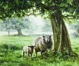 Mark O'Neill, Away From the Flock