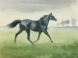 Peter Curling, Set Free